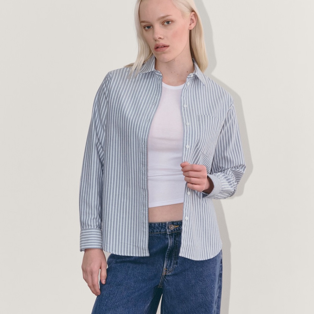 Everlane Oxford Striped Blue Green and White Button-Up Shirt